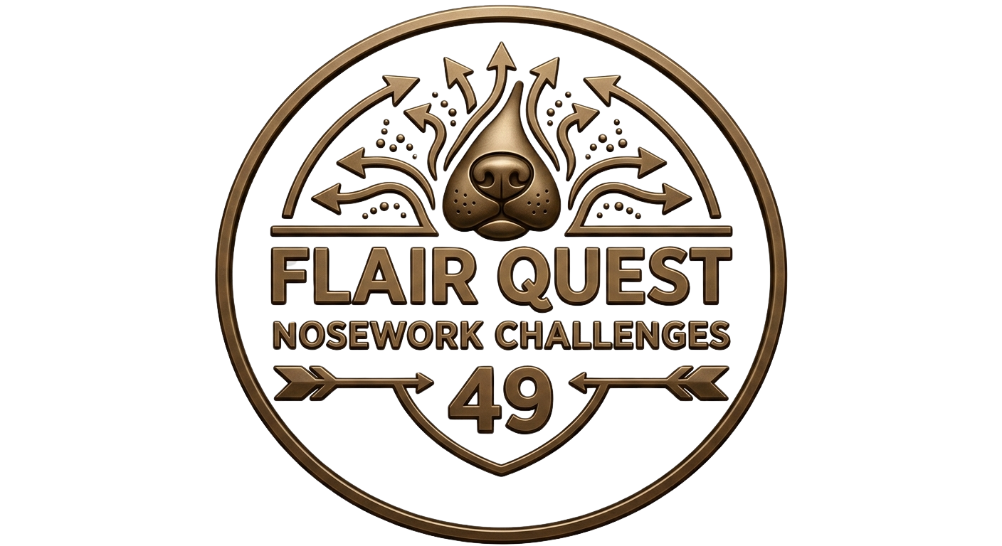 quest.flairplay49.com